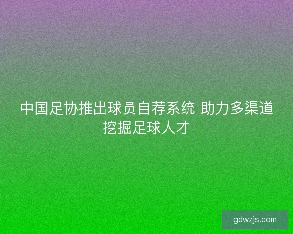 中国足协推出球员自荐系统 助力多渠道挖掘足球人才