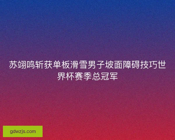 苏翊鸣斩获单板滑雪男子坡面障碍技巧世界杯赛季总冠军