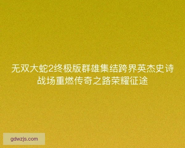 无双大蛇2终极版群雄集结跨界英杰史诗战场重燃传奇之路荣耀征途