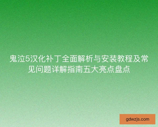 鬼泣5汉化补丁全面解析与安装教程及常见问题详解指南五大亮点盘点