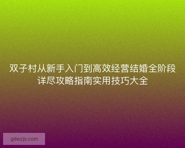 双子村从新手入门到高效经营结婚全阶段详尽攻略指南实用技巧大全